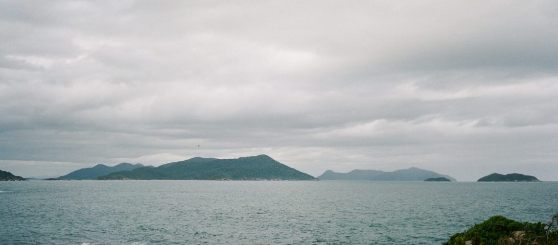 pexels-heloisa-vecchio-10447127