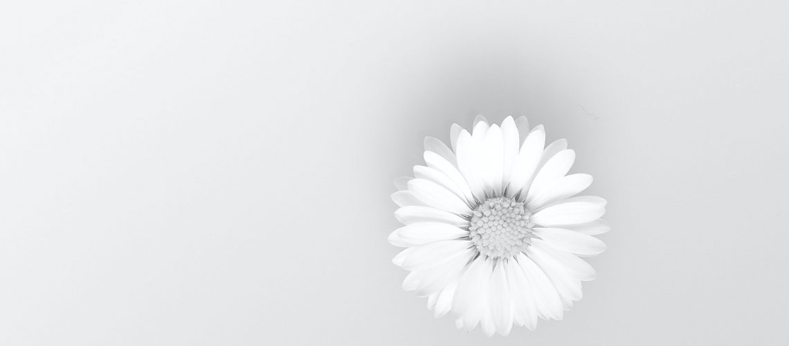 poza psihe - acasa slide 2